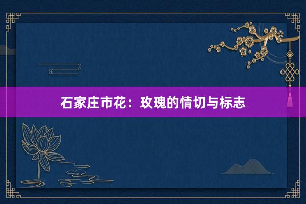 石家庄市花：玫瑰的情切与标志