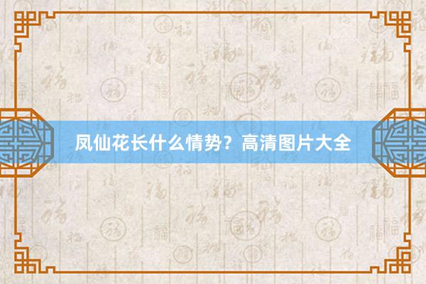 凤仙花长什么情势？高清图片大全